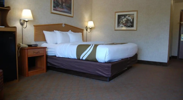 Люкс Quality Inn Homestead Park