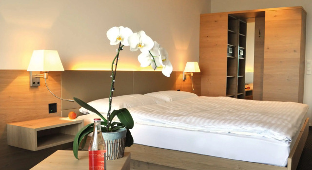 Двухместный номер Deluxe с балконом и с видом на озеро Best Western Hotel Rebstock
