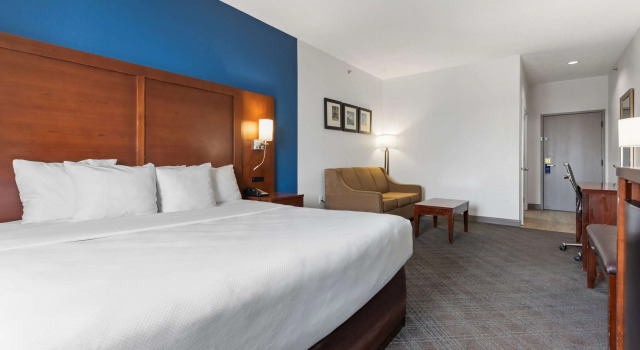 Двухместный люкс Comfort Suites Lombard - Addison