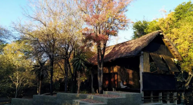 Номер Standard Off Beat Safaris Bush Lodge