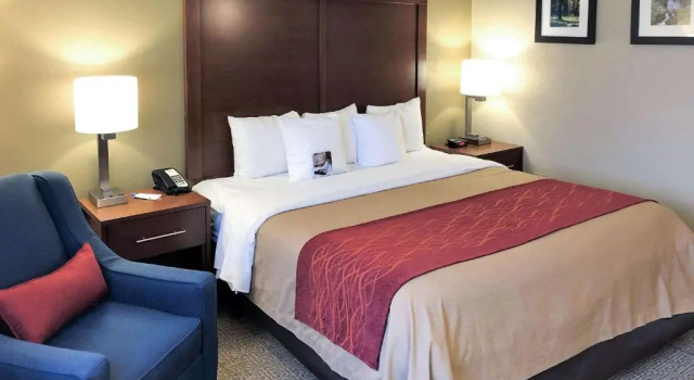 Номер Standard Comfort Inn Farmington Hills - Novi-Royal oaks-Southfield-Detroit Northwest