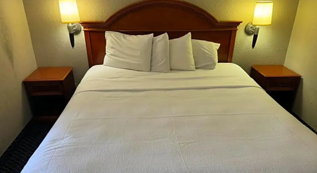Run of House Homegate Studios & Suites San Antonio Medical Center