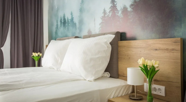 Номер Deluxe SREBRNA PLANINA Spa & Resort