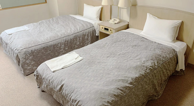 Двухместный номер Standard Hotel Sports Palko