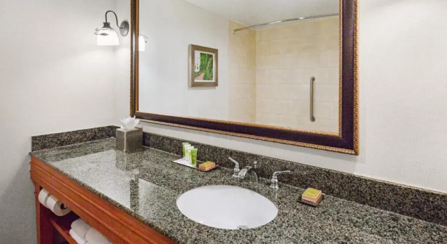 Номер Standard с видом на внутренний двор DoubleTree by Hilton Raleigh Durham Airport at Research Triangle Park