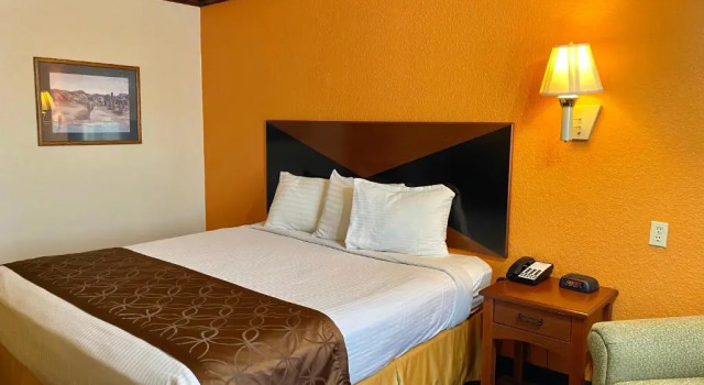 Standard Zimmer Green bird Inn