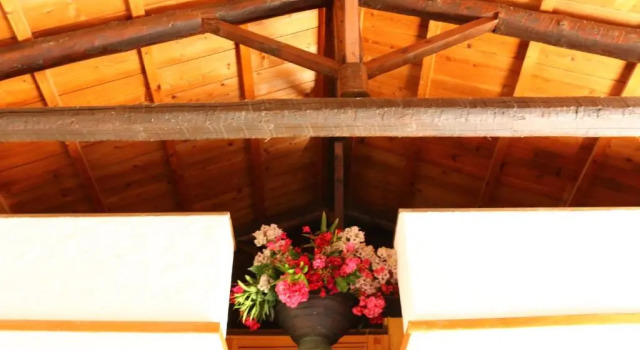Villa Oleander
