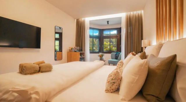Номер Standard Boutique Hotel Soyka