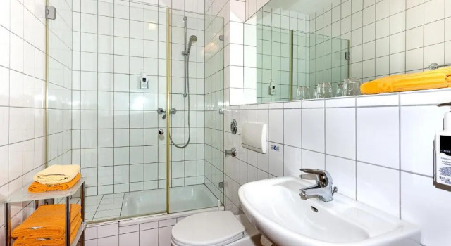Трёхместный номер Standard Hotel Alter Giebel