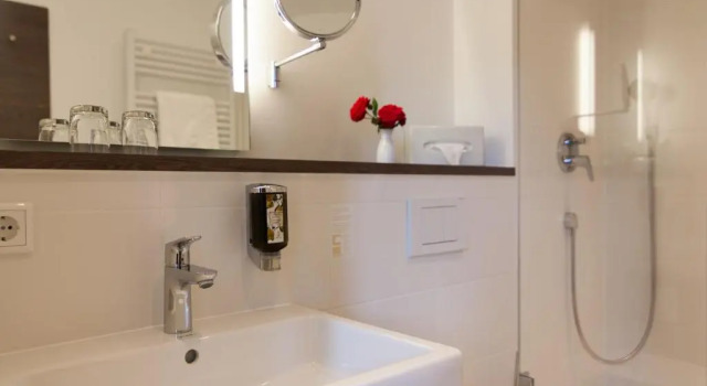 Номер Standard Hotel Grünwald