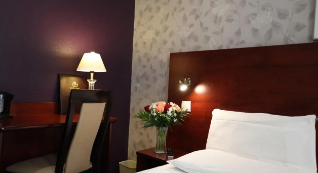 Одноместный номер Standard Hôtel Alane