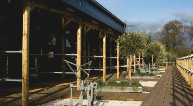Номер Standard Owen House Farm
