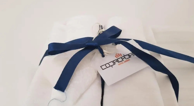 Номер Standard Copacabana Hotel Design