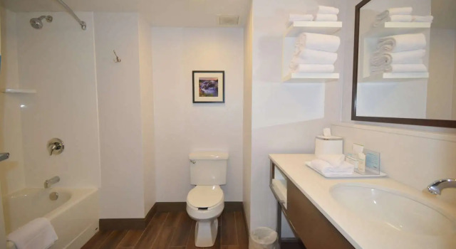 Люкс Hampton Inn Salem East - Electric Road