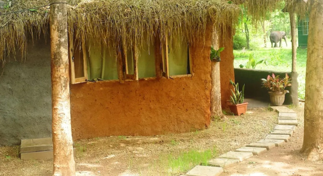 Вилла Luxury Greenwood Udawalawa Safari Resort