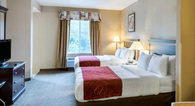 Двухместный люкс Comfort Suites Seaford