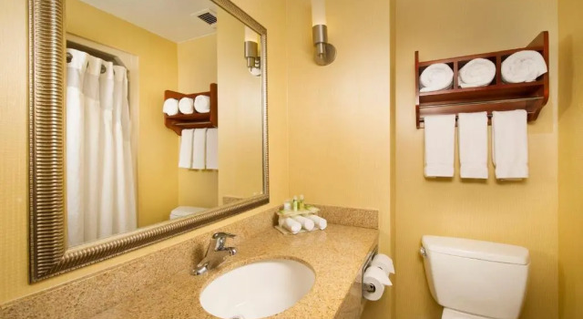Номер Standard Holiday Inn Express Washington DC-BW Parkway by IHG