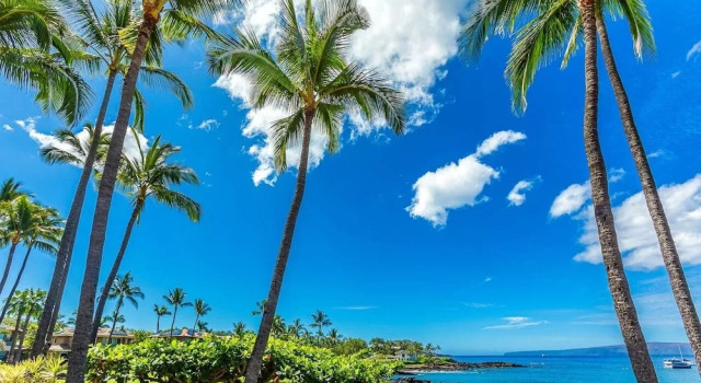 Номер Standard с 2 комнатами Makena Surf by Coldwell Banker Island Vacations
