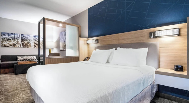 Люкс SpringHill Suites By Marriott Charleston Airport & Convention Center