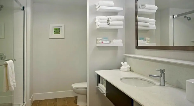 Двухместная студия Hampton Inn & Suites - Minneapolis/Downtown