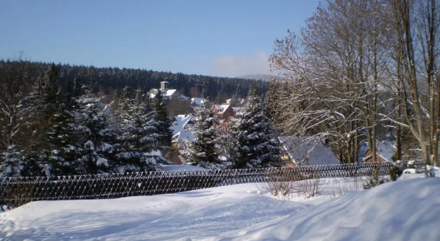 Коттедж Ferienhaus Harzidyll