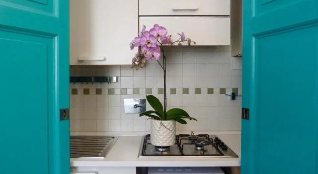 Apartamento La Flo House