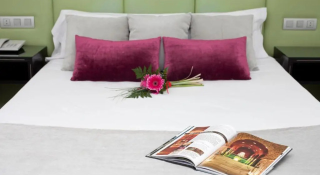 Двухместный номер Standard Hotel Presidente by Maxi Hoteles
