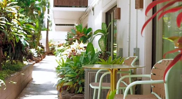 Четырёхместный номер Standard с видом на бассейн White Sands Hotel