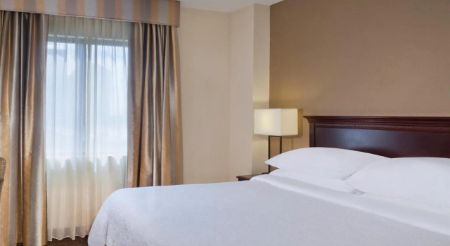 Двухместный люкс c 1 комнатой Embassy Suites by Hilton Dallas Near the Galleria