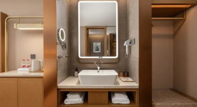 Люкс Vienna Hotel