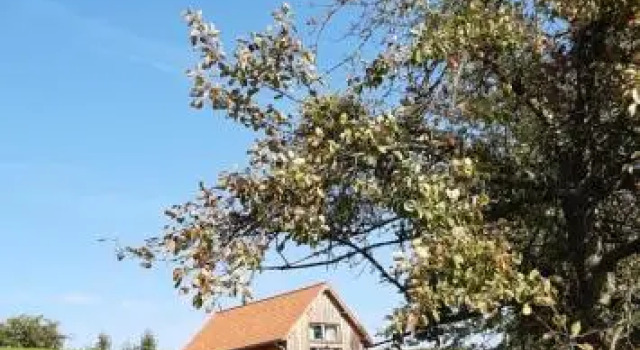 Boerderaaj vakantiewoning, Prenota Hotel Hotel a Haspengouw con piscina, Piscina