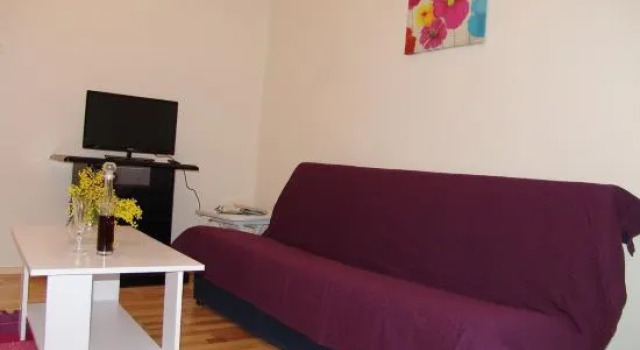 Apartment Viki