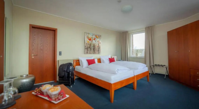 Двухместный номер Standard Hotel Omega