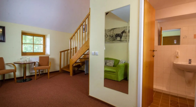 Superior room Hotel Čertousy