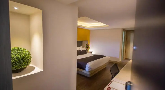 Одноместный номер Executive Plaza Poblana