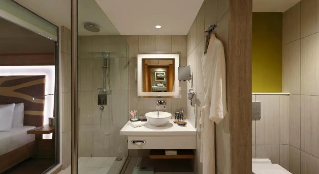 Номер Superior Novotel Chennai OMR