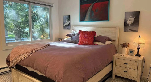 Sierra Chalet - Home With Private Deck and Views, Reserva ahora Chalet de montaña Aspen Aspen-Snowmass