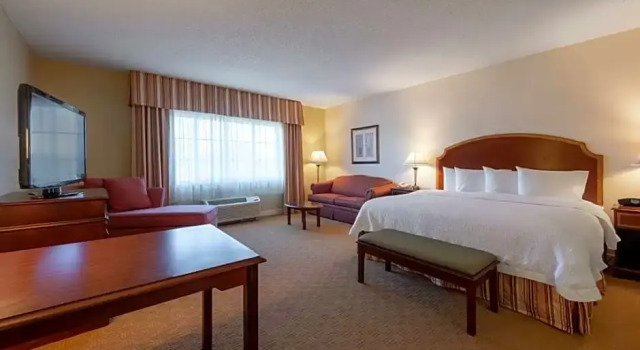 Одноместный люкс Hampton Inn & Suites - Vicksburg