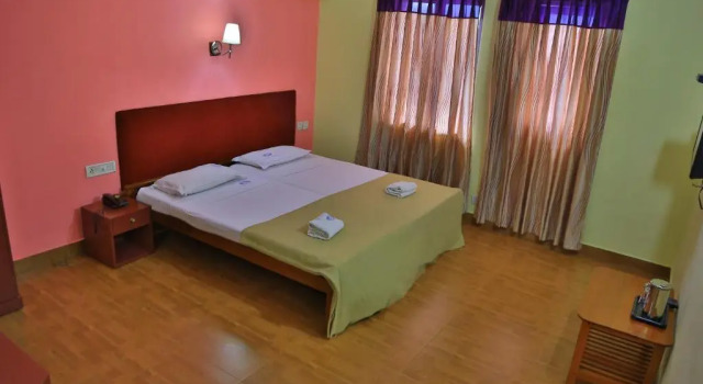 Одноместный номер Standard Hotel Srinivas