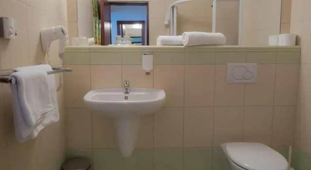 Одноместный номер Standard Hotel Cvilín