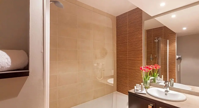 Номер Superior Best Western Park Hotel Geneve-Thoiry