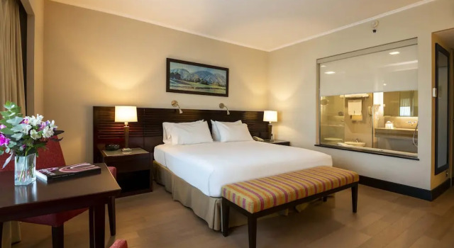 Двухместный номер Deluxe Eurobuilding Hotel Boutique Buenos Aires