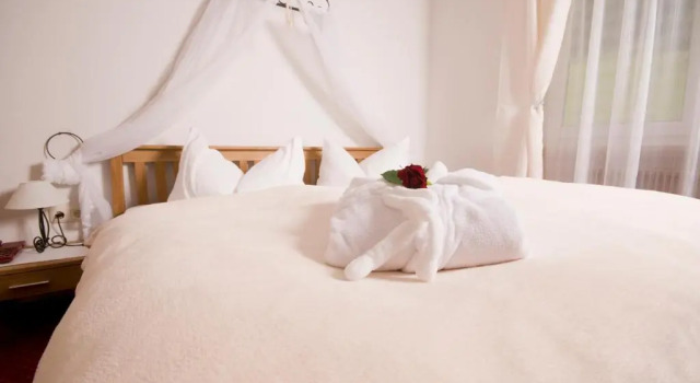 Двухместный номер Standard Alpenhotel Ensmann