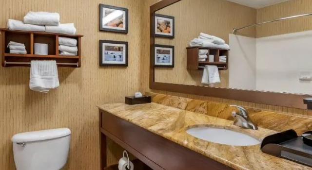 Suite Comfort Inn Wings Stadium