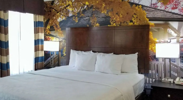 Двухместный люкс Quality Inn Corydon