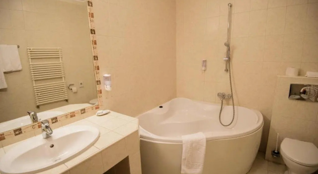 Номер Standard Hotel Alinalex - Paradisul Acvatic