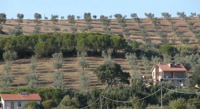Номер Standard Agriturismo San Lino-Gilberto