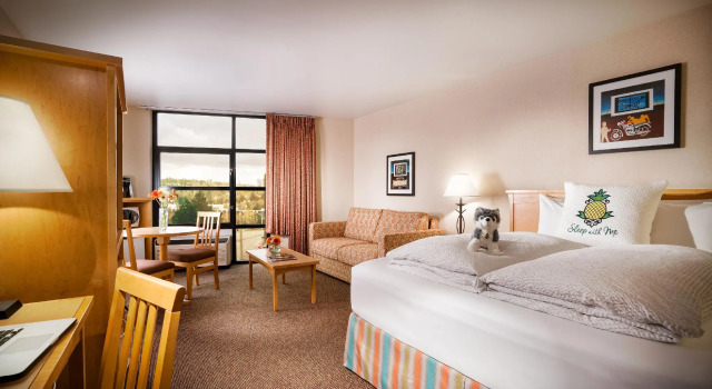 Двухместный номер Premier Staypineapple, University Inn, University District Seattle