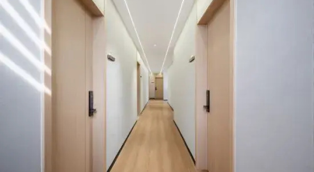Люкс Business GreenTree Inn Zhixuan (Yinan Zhuquan Village Resort)