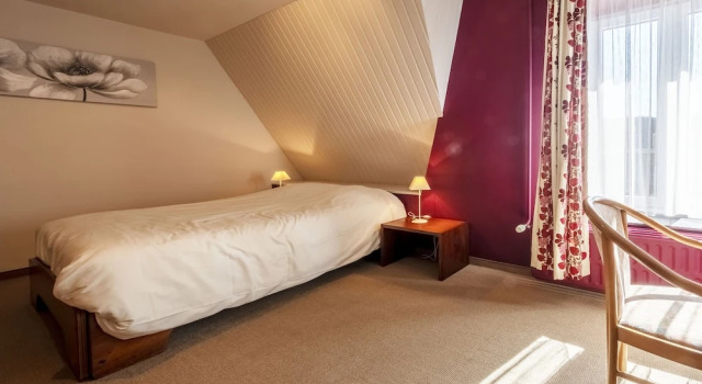 Номер Economy Hostellerie La Villa Des Roses